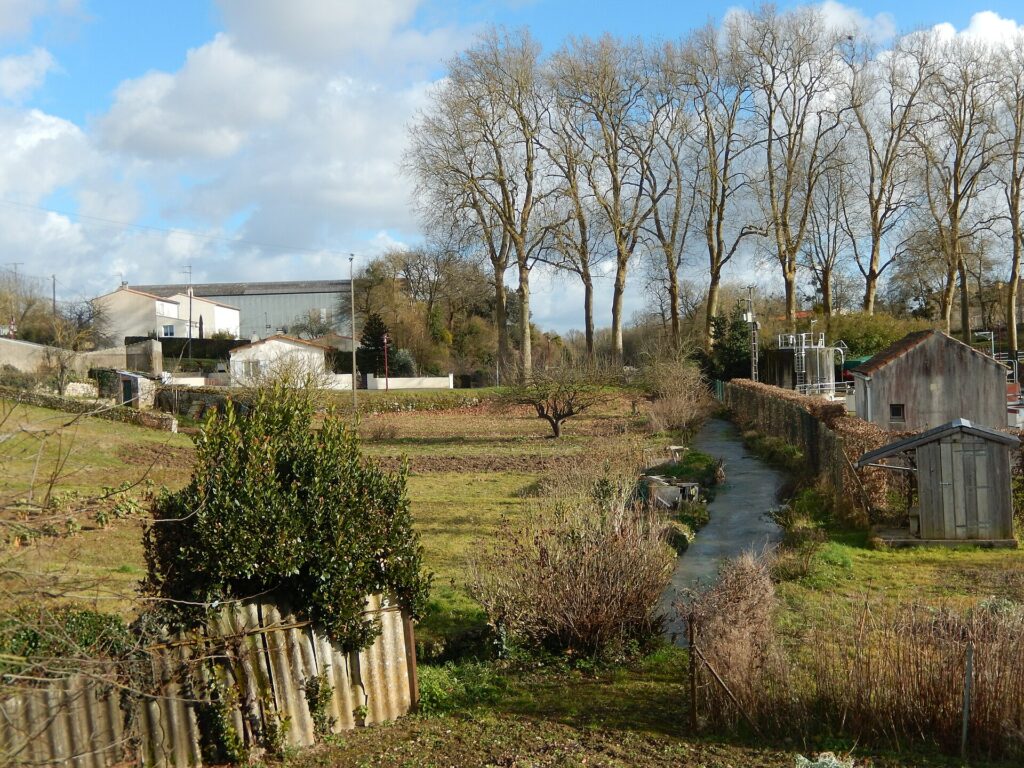 Le Bruant à Saint-Porchaire